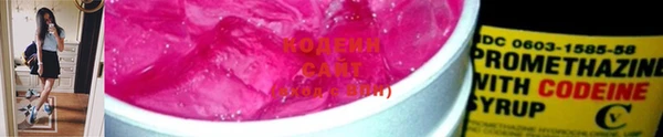 стафф Новозыбков