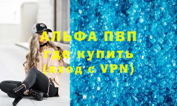 стафф Новозыбков