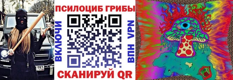 Псилоцибиновые грибы Psilocybine cubensis  Купить  Томск 